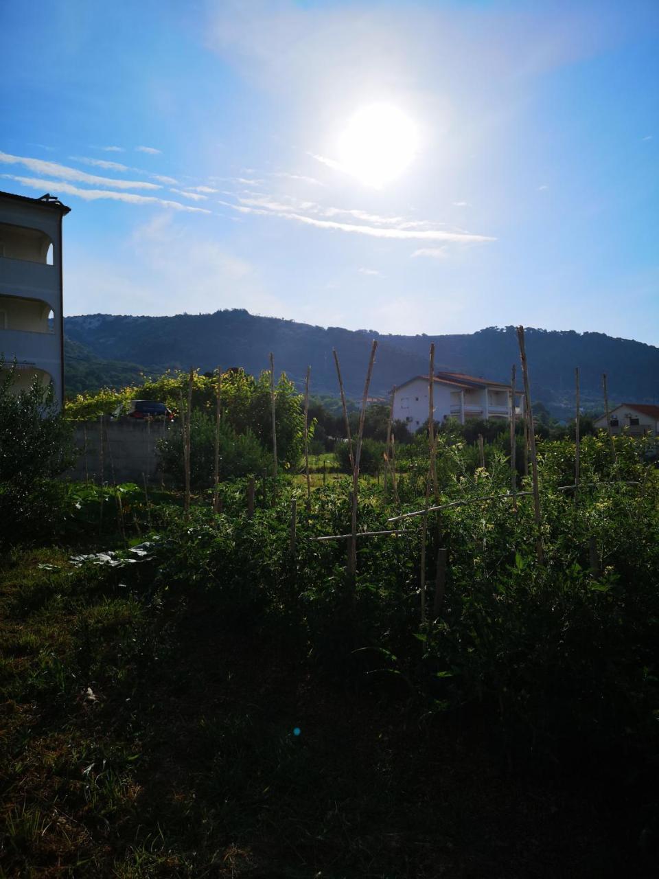 Apartment Zekija Barbat na Rabu Esterno foto
